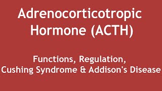 Adrenocorticotropic Hormone ACTHFunctions Regulation Cushing Syndrome amp Addisons Disease ENG [upl. by Sorac]