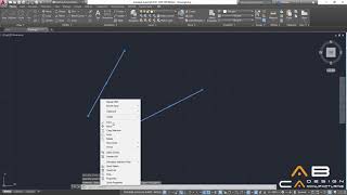 AutoCAD 2019  Dynamic Input [upl. by Jeffie304]