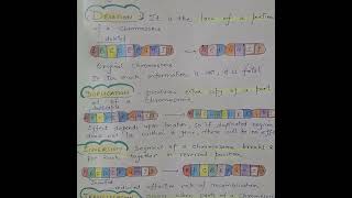 The Wild World of Chromosomal Mutations [upl. by Annoirb]