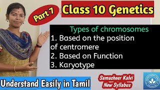 Types of Chromosomes based on the position of centromere and based on the function Karyotype [upl. by Leunam]