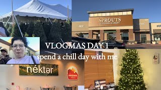 VLOGMAS DAY 1 ✨ spend a chill day with us sprouts trip Christmas tree shopping etc [upl. by Inami]