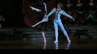 Evgenia Obraztsova  Swan Lake Part 4 OdileBlack Swan [upl. by Chainey]