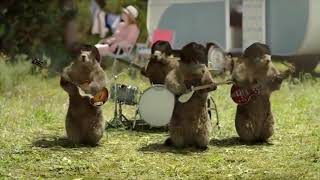 Les marmottes de France 3 parodient des films de cinéma  groupe musical [upl. by Snoddy]