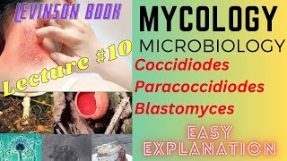 Mycology  coccidiodes  Paracoccidiodes  Blastomyces [upl. by Aicxela317]