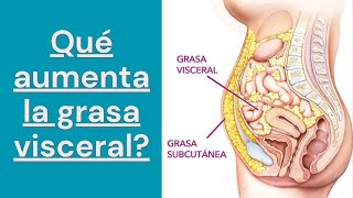 Qué aumenta la grasa visceral [upl. by Lindley]