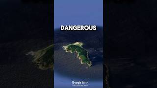 The Most Dangerous Island In The World… snake island dangerous [upl. by Laetitia265]