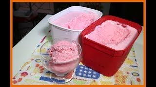 4 LITROS de sorvete com apenas 1 Gelatina Testando a Receita sera que é Bom [upl. by Nwad633]