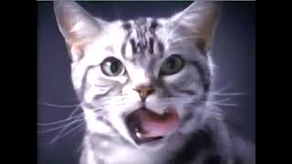 2002 Friskies Commercial Cats Being Frisky for Friskies  Aired January 2002 [upl. by Aneroc12]