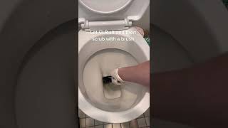 CLR  How To Clean Your Toilet [upl. by Formenti431]