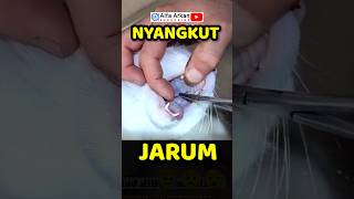 Kucing nyangkut jarum doain biar lancar [upl. by Harri654]