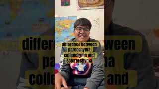 difference between parenchyma collenchyma and sclerenchymashortvideo [upl. by Nimzaj]