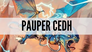 How Powerful Is Pauper CEDH  Pauper CEDH Gameplay [upl. by Nido]