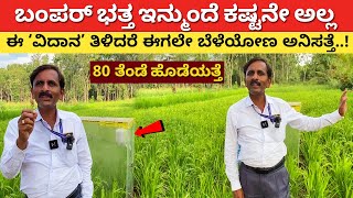 Modern ಪದ್ದತಿಯಲ್ಲಿ ಭತ್ತ ಇಷ್ಟು ಸುಲಬ l Rice Farming Cultivation in Kannada farmingkarnatakakannada [upl. by Aicekal]