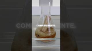 Vaporizando cosas con ácido mezcla piraña ciencia química [upl. by Genevieve651]