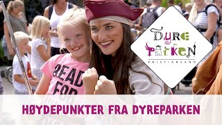 Høydepunkter fra Dyreparken [upl. by Nivel]