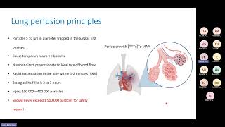 Lecture 10 Lung ventilation and perfusion [upl. by Grenville32]