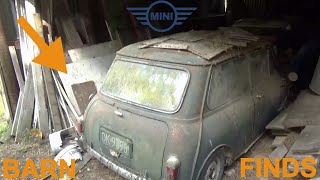 Episode 6 BARN FINDS  TWO Minis in a shed for OVER 20 years [upl. by Brianne227]