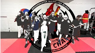 Eskrima Nickelstick Seminar with GM Martin Sillitoe October 2024 [upl. by Holihs]