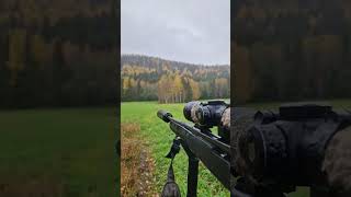 Lockjakt på rådjur i regnet rådjur lockjakt jakt hunting deer deerhunting rain rain [upl. by Ekrub]