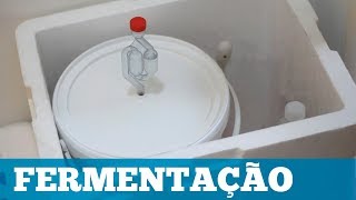 Como Fazer Cerveja em Casa Fermentação Parte 46 [upl. by Reinhard]