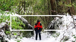 Trekking Film 겨울의 야쿠시마 트레킹 [upl. by Poirer]