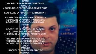 Dorel de la Popesti  Am fost un tata iubitor  Official Audio [upl. by Lithea]