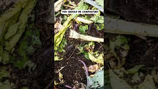 Composting The Benefits of Composting for a Healthier Garden [upl. by Ahtilat]