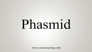 How To Say Phasmid [upl. by Heigho]