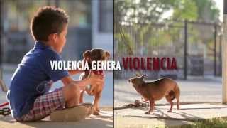 Violencia Familiar  Violencia Génera Violencia [upl. by Fineman]