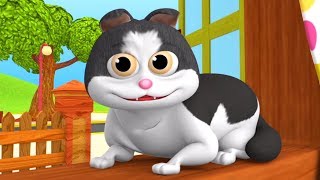 Meow Meow Billi Karti  Hindi Rhyme For Kids  म्याऊ म्याऊ  Balgeet In Hindi  LittleTreehouse [upl. by Ahsinad]