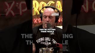 Joe Rogan  Encountering God Through Psychedelics [upl. by Elletnuahs991]