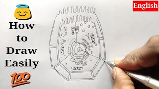 How to Draw Animal Cell  MyGuruji [upl. by Aisatnaf]