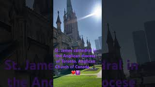 god faith anglican shorts church shortvideo shortsfeed youtubeshorts youtubeshort trending [upl. by Juxon]