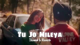 TU JO MILEYA SLOWED ampREVERB first song [upl. by Notsnorb36]