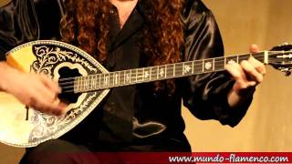 Bouzouki live improvisation [upl. by Nipsirc457]