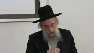 Rabbi David Leibel  UltraOrthodox Role in Israeli Society [upl. by Whittaker743]