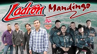 GRUPO LADRÓN ft MANDINGO  SUS MEJORES CANCIONES MIX ROMANTICAS 2023 [upl. by Suolekcin]