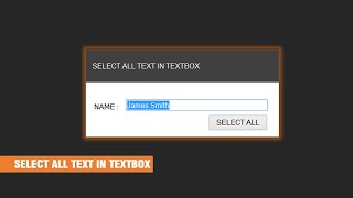 How to Select All Text in TextBox Using C [upl. by Noyad]