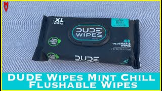 Dude Wipes Mint Chill Flushable Wipes  MumblesVideos Product Review [upl. by Yvon]