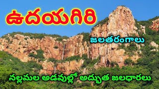 Udayagiri Waterfalls  Udayagiri  Nellore District [upl. by Leirvag]