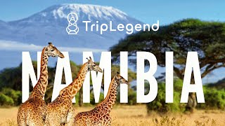 Etosha National Park Safari Discover Namibia Africa with TripLegend [upl. by Eveineg592]