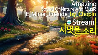 쇼팽의 클래식 선율과 시냇물소리 불면증 수면 명상 치유 휴식 힐링 EMinorPreludeBy Chopin [upl. by Naujid]