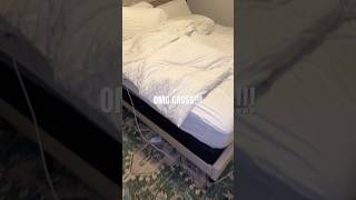 Omg gross Bedbugs marriage millennials momlife mom motherhood postpartum parents parenthood [upl. by Orlosky760]