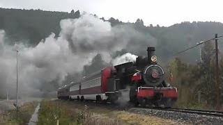 TREN EL VALDIVIANO  VALDIVIA  ANTILHUE PATRIMONIO FERROVIARIO VALDIVIA [upl. by Dorrahs]