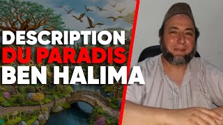 Description Du Paradis  Ben Halima [upl. by Atterehs725]