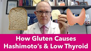 How Gluten and Wheat Cause Hashimotos and Low Thyroid [upl. by Anned]