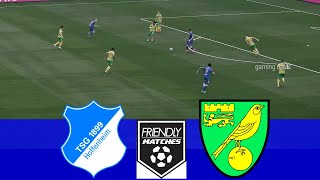 Hoffenheim vs Norwich City  Friendly Match 2024 ⚽ Full Match Highlights En Vivo Resumen⚽ [upl. by Eloci34]