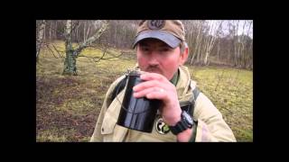 Tapping for Birch Sap [upl. by Mac]