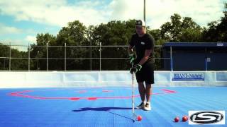 Stick Skillz Ball Hockey Shooting Accuracy [upl. by Dlaregztif]