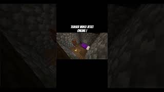 minecraft teaser minecraftprojekt projekt [upl. by Kerrie]